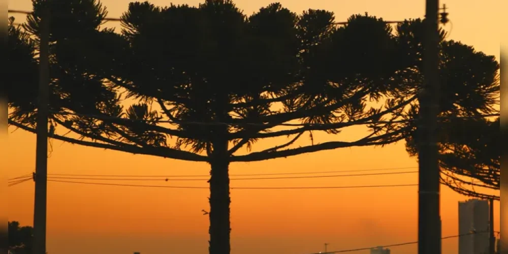 ponta-grossa-200-anos-em-200-takes