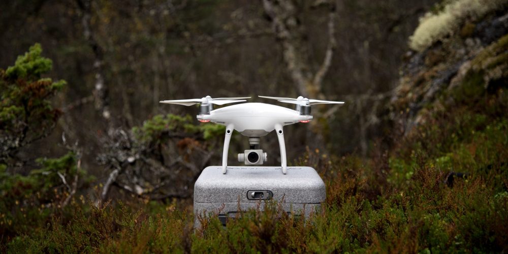 thomas-griesbeck-CG4V3A9bm0k-unsplash